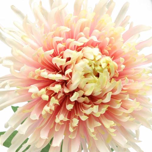 gjenstander Chrysanthemum blomst gren rosa kunstig 64cm