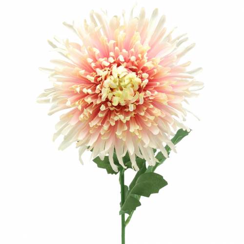 Floristik24 Chrysanthemum blomst gren rosa kunstig 64cm