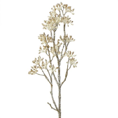 Floristik24 Dekorativ gren hvitt gull Cornus gren kunstig gren 48cm