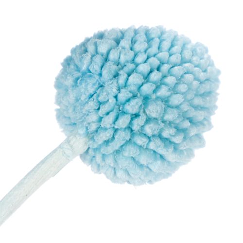 gjenstander Craspedia tørkede blomsterdekorasjon til vase, minimalistisk stil, langvarig sommerdekorasjon, 55 cm, 20 stk.