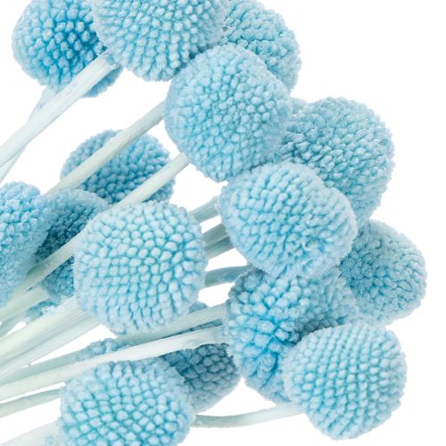 gjenstander Craspedia tørkede blomsterdekorasjon til vase, minimalistisk stil, langvarig sommerdekorasjon, 55 cm, 20 stk.