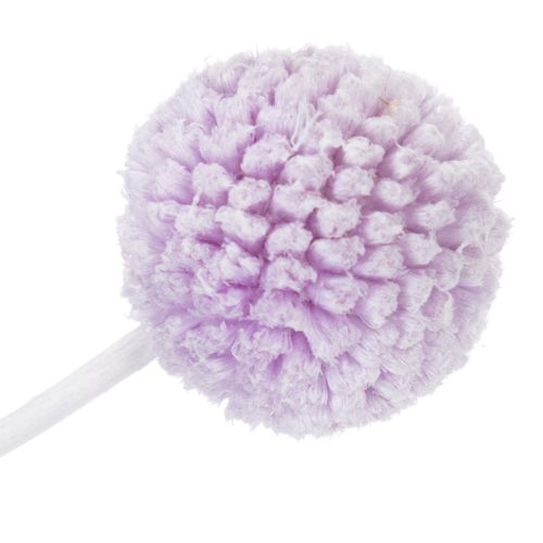 gjenstander Craspedia tørkede blomster for moderne borddekorasjon i hjemmet ditt, 55 cm, 20 stk.