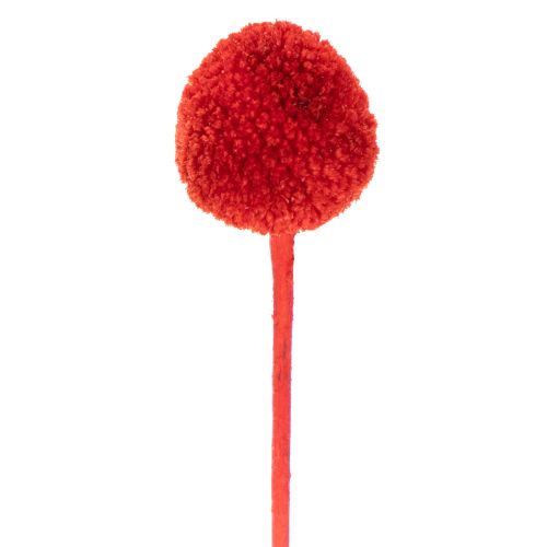 Tørkede Craspedia-blomster, farget, med lange stilker, 55 cm, 20 stk. | Floristik24.no
