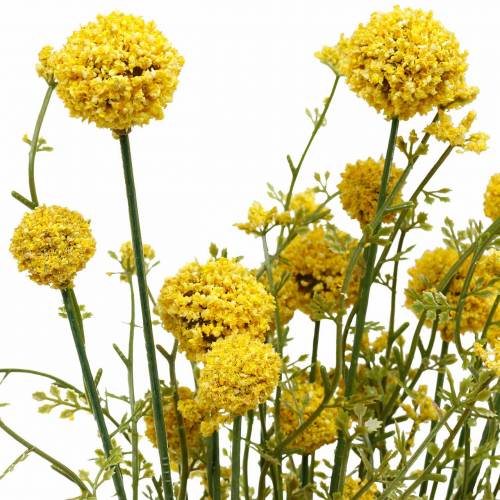 Floristik24 Kunstig Craspedia i Bunch Yellow Drumsticks 3stk