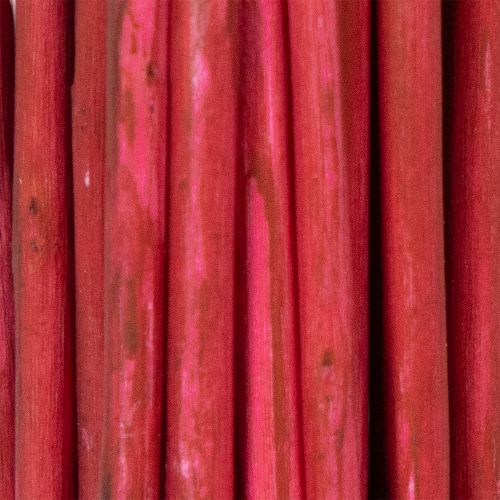 gjenstander Tørket dekorativ gren av krøllete piletre for kreativ blomsterdekorasjon og hjemmetilbehør 80 cm 70 g