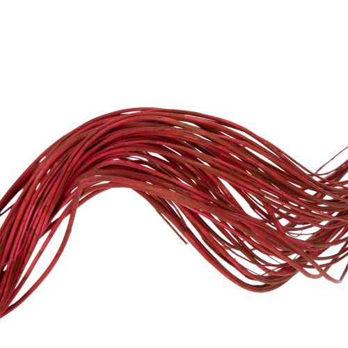 gjenstander Tørket dekorativ gren av krøllete piletre for kreativ blomsterdekorasjon og hjemmetilbehør 80 cm 70 g