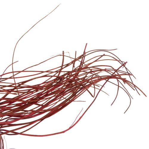 gjenstander Tørket dekorativ gren av krøllete piletre for kreativ blomsterdekorasjon og hjemmetilbehør 80 cm 70 g