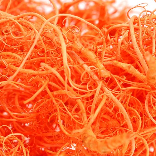 Floristik24 Krøllete Moss Orange 350g