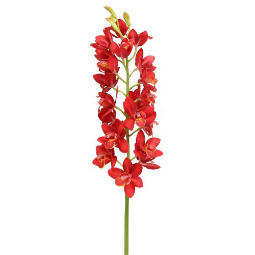 gjenstander Orchid Cymbidium Red 78cm