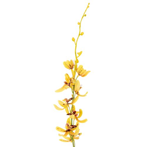 gjenstander Kunstig Cymbidium-orkidé som blomsterstilk for elegant dekorasjon, 95 cm, 2 stk.