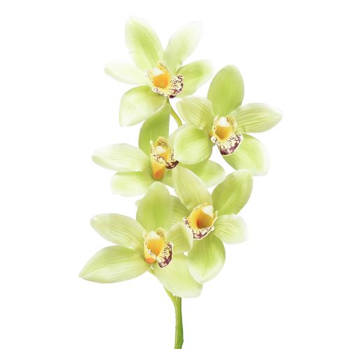 Cymbidium orkidé kunstig 5 blomster grønne 65cm