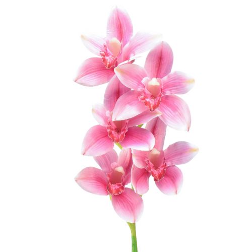 gjenstander Cymbidium orkidé kunstig 5 blomster rosa 65cm