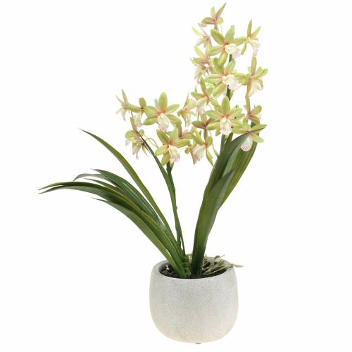 Floristik24 Orchid Cymbidium Grønn i potte Kunstig H46cm