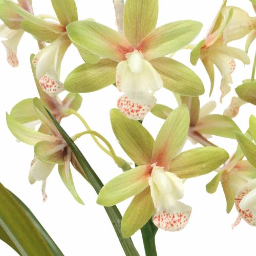 Floristik24 Orchid Cymbidium Grønn i potte Kunstig H46cm