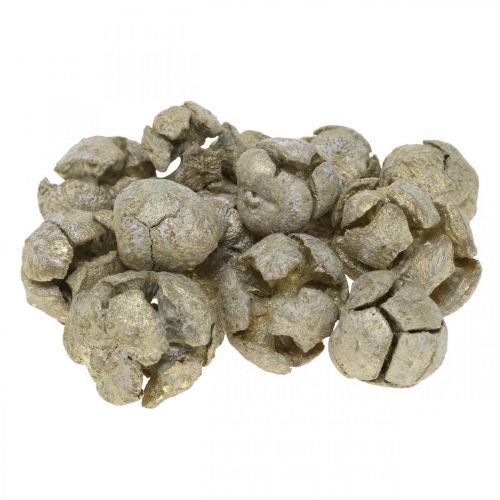 Floristik24 Sypresskongler natur, juledekorasjon, gullbelagte håndverkskongler Ø2–3cm H2,5–3,5g 330g