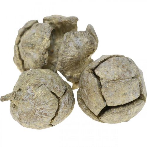 Floristik24 Sypresskongler natur, juledekorasjon, gullbelagte håndverkskongler Ø2–3cm H2,5–3,5g 330g