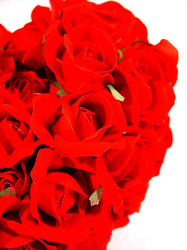 Floristik24 Rose hjerte 26cm