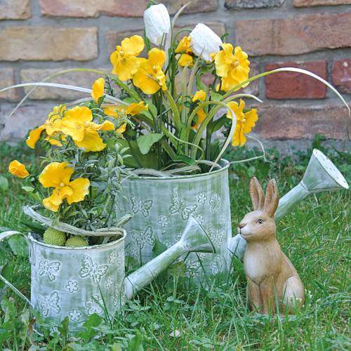 Floristik24 Planter vannkanne med sommerfugler Rosa Ø10cm H10cm