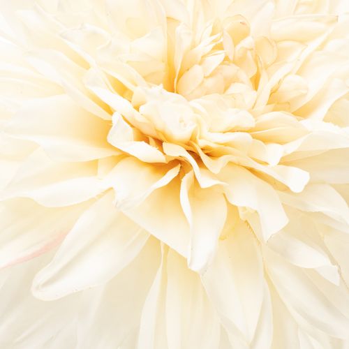 Kunstig dahliablomst til vase 68 cm | Floristik24.no