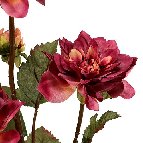 Floristik24 Dahlia Erika Ø10cm L68cm 3stk