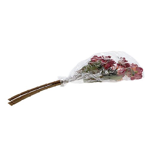 Floristik24 Dahlia Erika Ø10cm L68cm 3stk