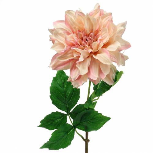 Floristik24 Dahlia rosa 62cm
