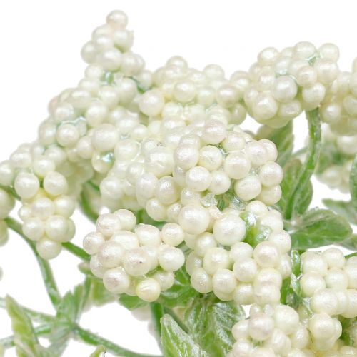 Floristik24 Dekorativ bærgren hvit 24cm 5stk