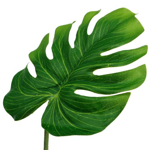 Floristik24 Deco Leaf Philo Leaf Green B11cm L29,5cm 3stk