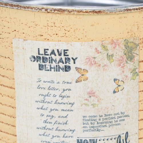 gjenstander Dekorativ blikk, aprikos, metallblomsterpotte, sommerdekorasjon, Ø15,5 cm H15 cm