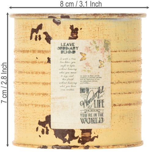 gjenstander Dekorativ blikk, sommeraprikosfarget, metallblikk, blomsterpotte, Ø8 cm H7,5 cm