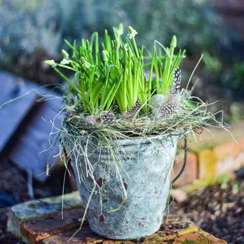 Floristik24 Dekorativ bøtte, blomsterpotte, keramisk bøtte antikk utseende Ø19,5cm H19cm