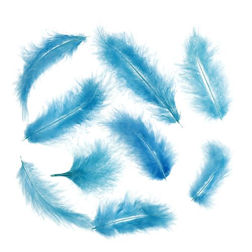 Floristik24 Korte fjær 30g turkis