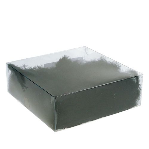 Floristik24 Korte fjær 30g svart