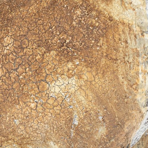 gjenstander Dekorativ kaninfigur for vårlig interiør, 32 cm, 2 stk.