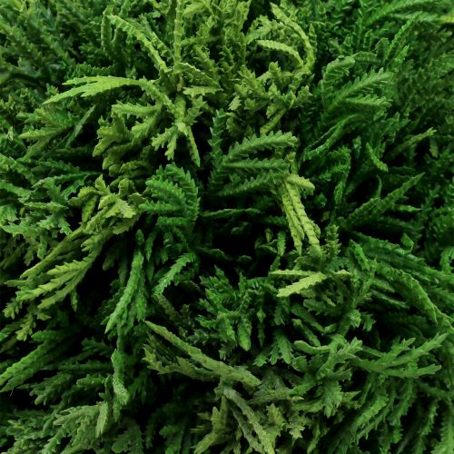 Floristik24 Kunstig plantekule for oppheng av grønn Ø20cm