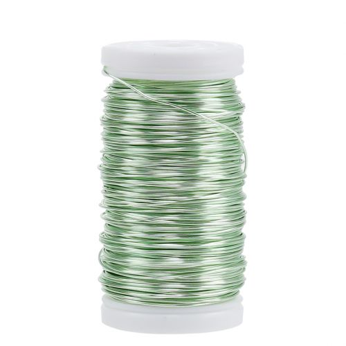 Floristik24 Deco emaljert tråd mintgrønn Ø0,50mm 50m 100g
