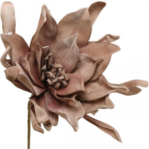 gjenstander Deco lotusblomst kunstig lotusblomst kunstig blomst brun L68cm