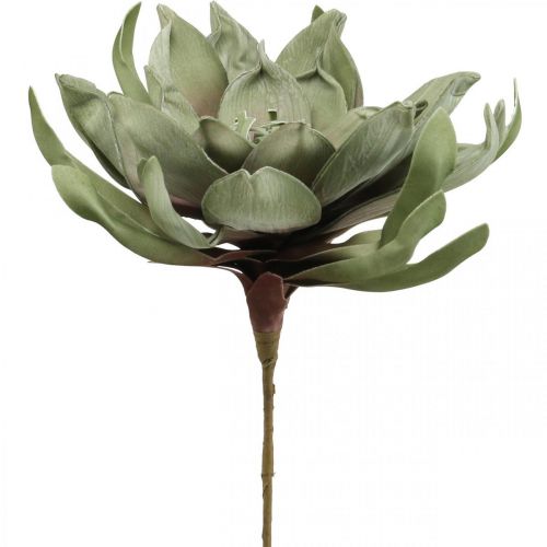 Deco lotusblomst kunstig lotusblomst kunstblomst grønn L70cm