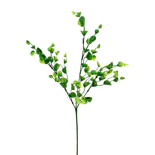 Floristik24 Deco mint kvist grønn L74cm 6stk