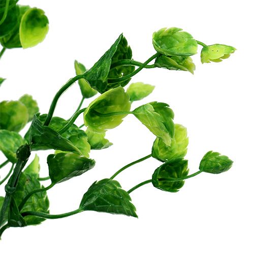 Floristik24 Deco mint kvist grønn L74cm 6stk