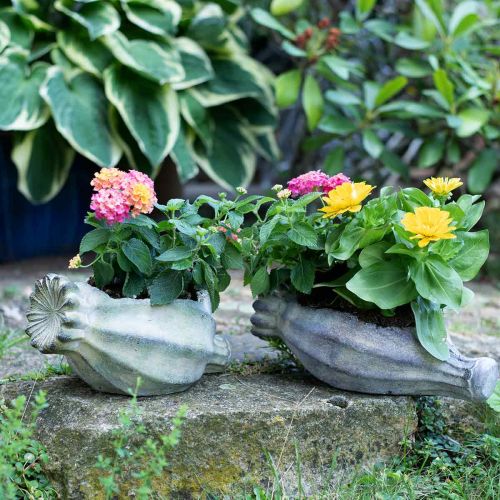 Floristik24 Dekorativ valmuekapsel, betongpotte, cachepot, gravdekor L26cm