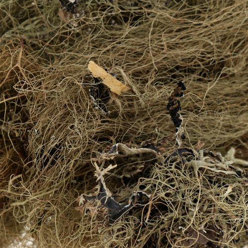 Floristik24 Dekorativ mosnatur for håndverk 500g