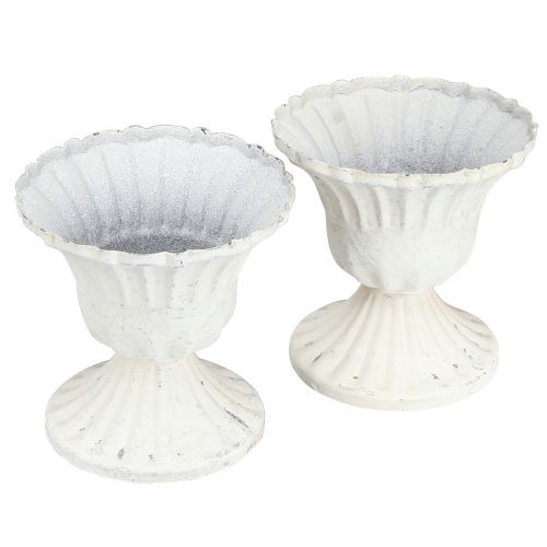 Floristik24 Dekorkopp Shabby Chic Chalice Hvit Ø8cm H8,5cm 2stk