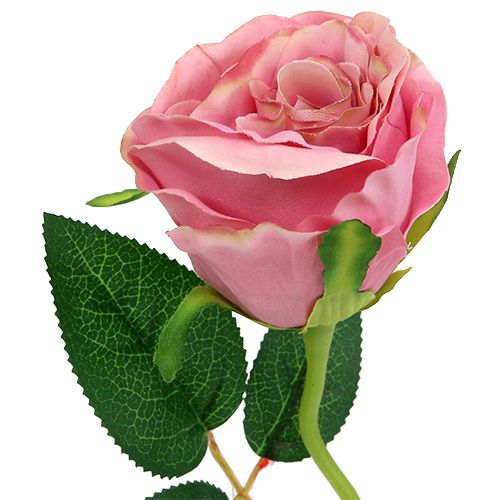 Floristik24 Deco rose Ø6cm gammel rose L50cm 1p