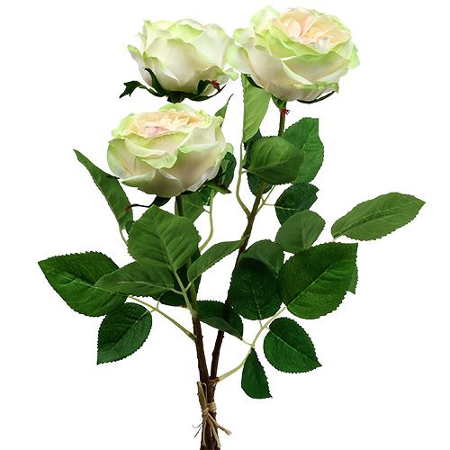 Floristik24 Deco rose krem-rosa Ø10cm 52cm 3stk