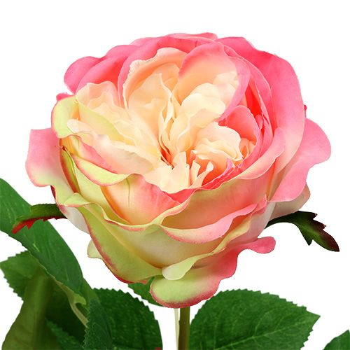 gjenstander Deco rose rosa Ø10cm 52cm 3stk