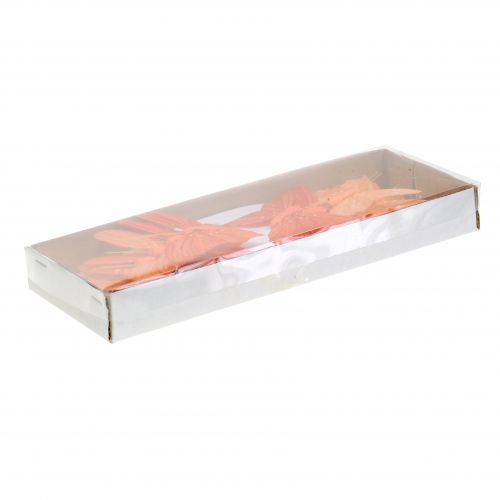 Floristik24 Dekorativ sommerfugloransje 12stk