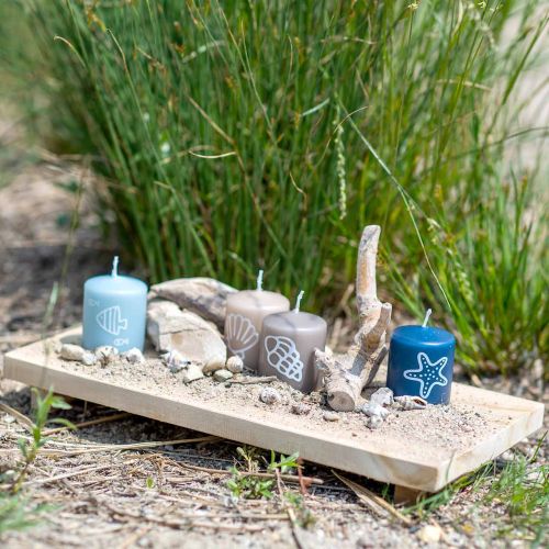 Floristik24 Dekorativt brett teak natur 38×18cm