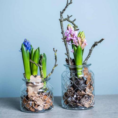 Floristik24 Glassvase diamantmønster, lanterne, dekorativt glasskar, borddekorasjon 2stk