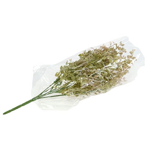 Floristik24 Dekorativ gren lysegrønn 35cm